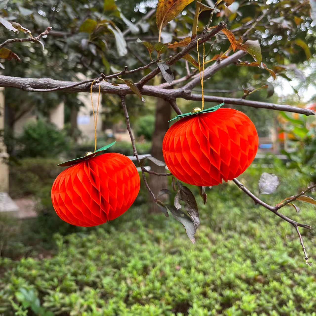 Wishing Persimmon Orange Honeycomb Paper Flower Decoration Wedding Room Decoration Honeycomb Paper Flower Bonsai Decoration Honeycomb Pendant Ruyi Persimmon