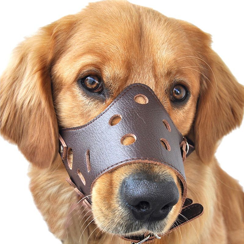 A large number of new products factory direct sales dog mouth cover mouth cover dog supplies anti-dog call mouth cover anti-bite foreign trade Hot Mouth