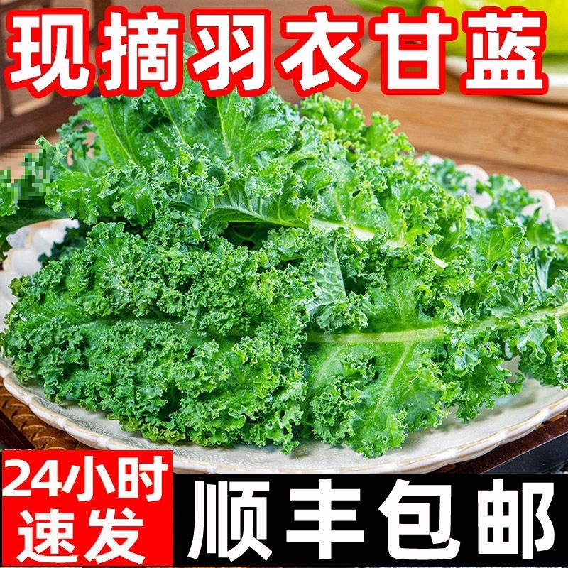 Fresh Kale Vegetables for Consumption, Sf Express Free Shipping, Juicing, Roasted Slices, Fitness Light Meal, Western Salad, Vegetable Sprouts