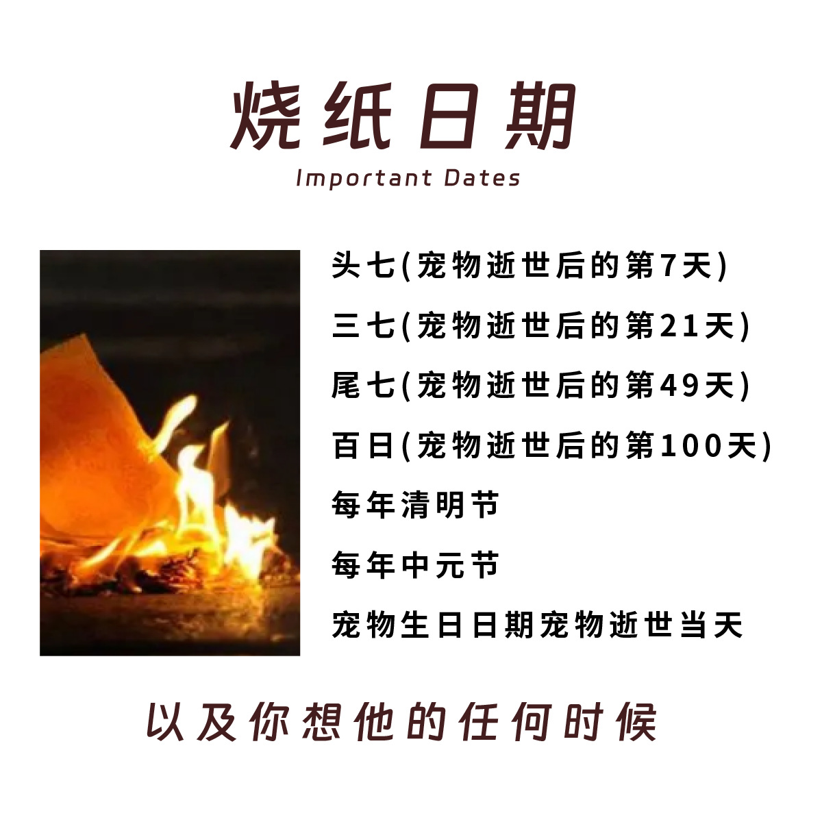 Pet Offerings for Rituals: Dog Head, Seven, Three, Five, Tail, Seven Burning Paper, Cat and Dog Paper Money, Paper Offerings for Pet Rituals, Universal