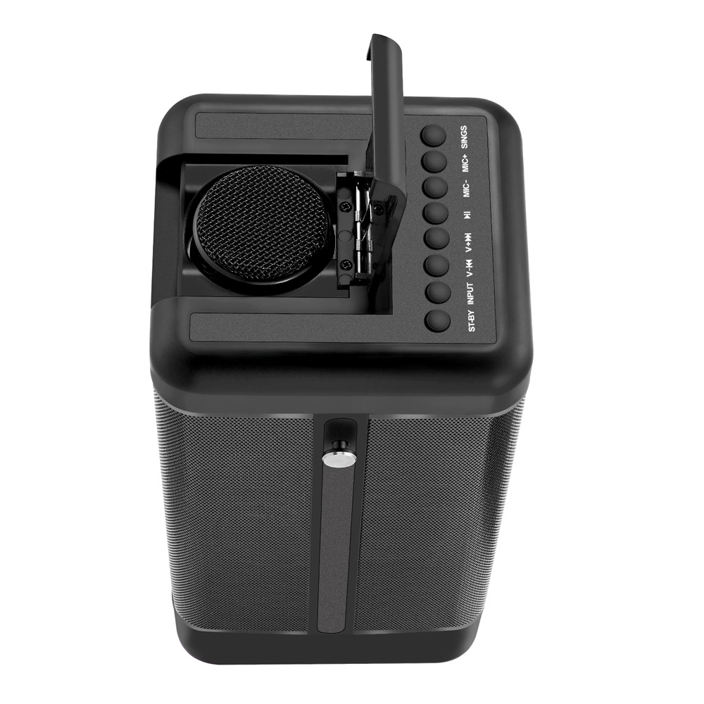 Outdoor Karaoke Microphone Hidden Bluetooth Speaker with Microphone for Camping, Teaching, and Home Singing