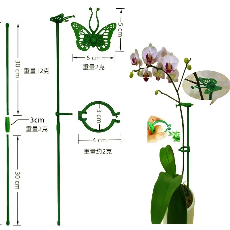 Fixed Anti-Lodging Flower Support Frame, Single-Pole Outdoor Garden Support for Climbing Roses, Hydrangeas, and Other Flowers