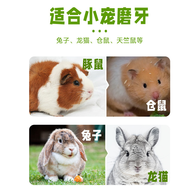 Hamster Molar Stick Golden Bear Molar Snack Rabbit Feed Nutrition Guinea Pig Carrot Grass Stick Artifact Supplies