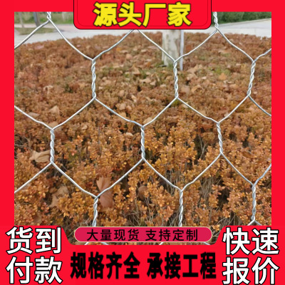 Производитель из Цзилиня производит сетку из цинка, алюминия, гипса, каменную сетку, защиту от эрозии и канавок, гипсовую клетку, фиксированные ноги, галванизированные подушки Рено, защиту откосов