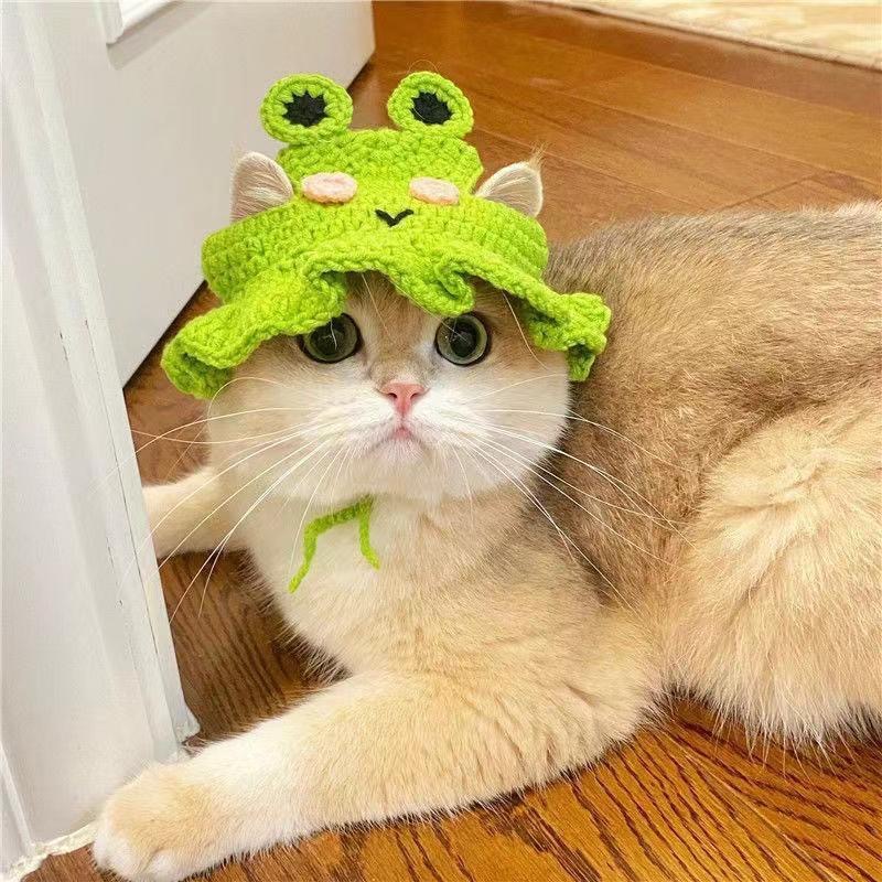 Pet Headgear, Cat and Dog Knitted Hat Props, Funny Transformation Clothing Wholesale, Small Flower Headgear Cross-Border