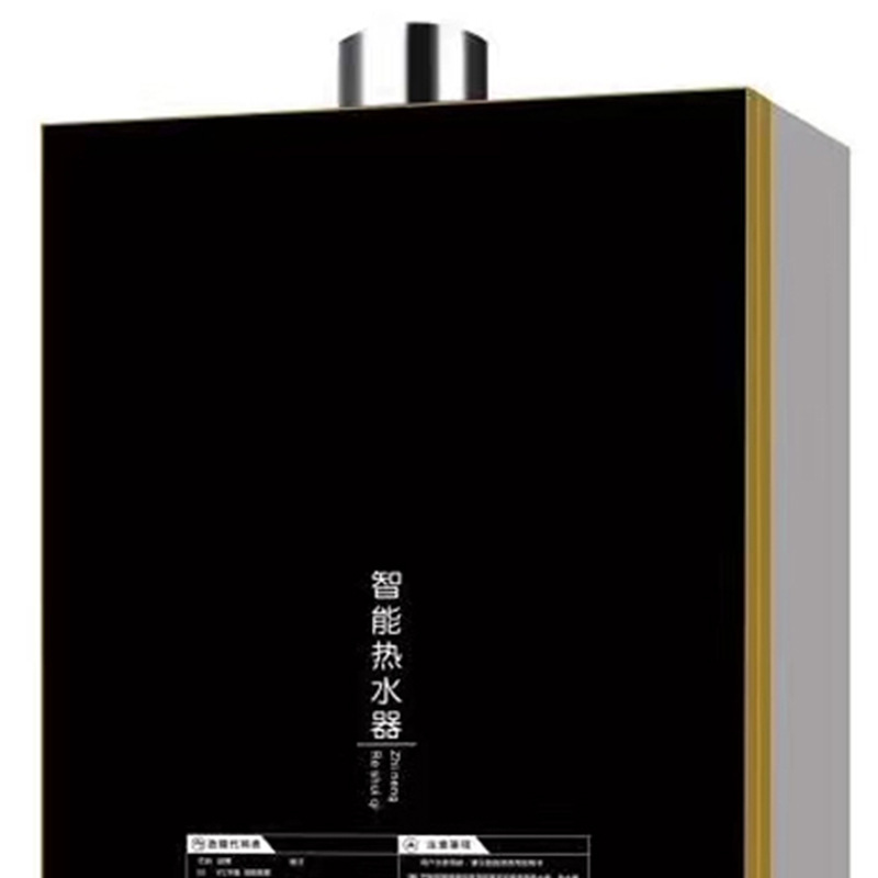 Gas Water Heater 12L 16L Household Strong Exhaust Energy-Saving Natural Gas Water Heater Manufacturer Wholesale