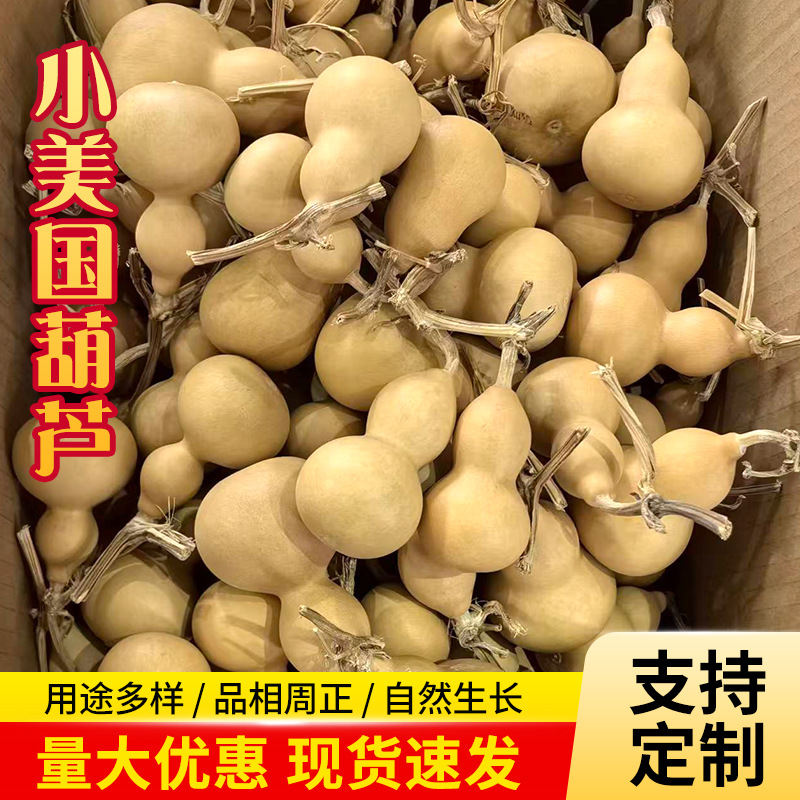 Carefully Selected Small American Natural Gourds, Small American Gourd Crafts from Manufacturers, Street Stall Gadgets with a Spout, Small Gourds