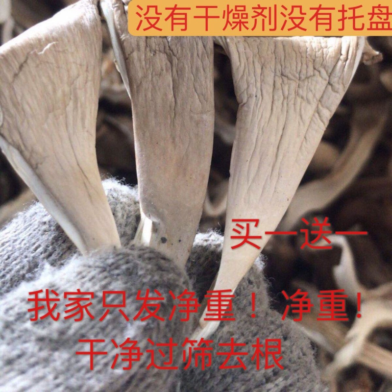 A Whole Box of Dried Oyster Mushrooms, Farm Specialty, Real Oyster Mushrooms, Bulk Soup Ingredients, Dried Vegetables, Mushrooms, Dried Vegetables, Seasonal