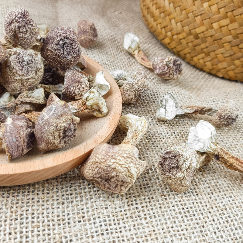 Agaricus Blazei 100g, Produced in Gutian, Brazil, Edible Mushroom, Sun-Dried, Gutian Origin