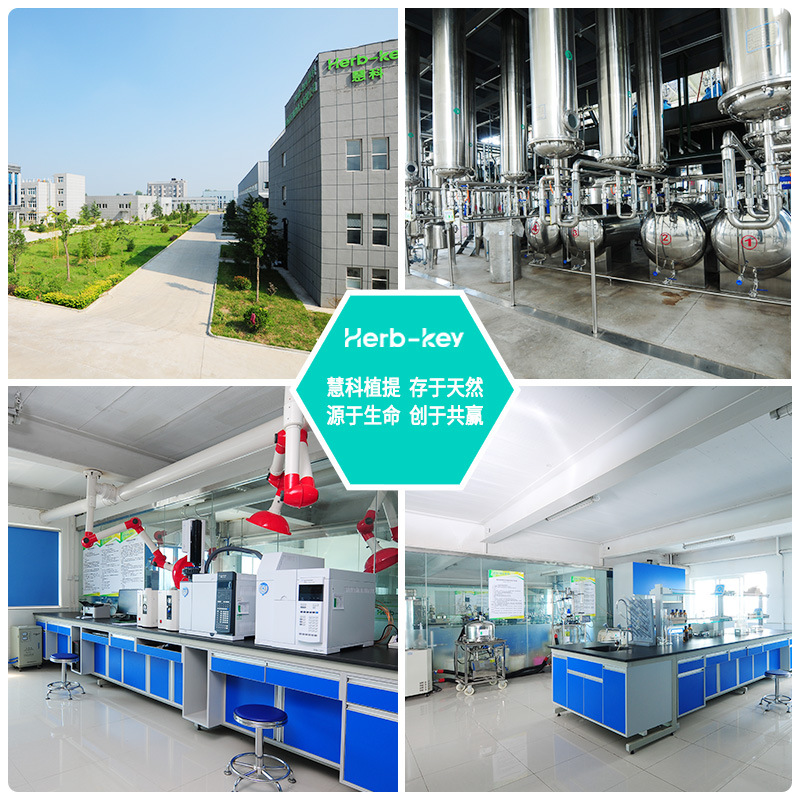 Psyllium Seed Husk Powder 98% Shaanxi Huike Manufacturer Supplies Psyllium Seed Husk Extract Powder with Free Shipping