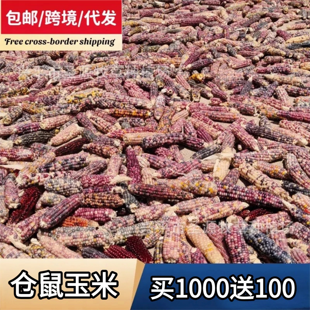 300 Получите 100 бесплатно 25-летний молярный кукурузный хомяк молярная палочка кукурузы Золотой медведь Кролик Шиншила молярные закуски