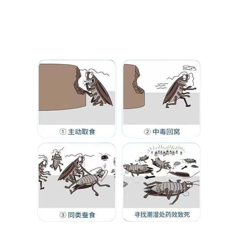 Boric Acid Mud Powder Restaurant Hotel Cockroach Borax Household All-In-One Kitchen Special Cockroach Killer