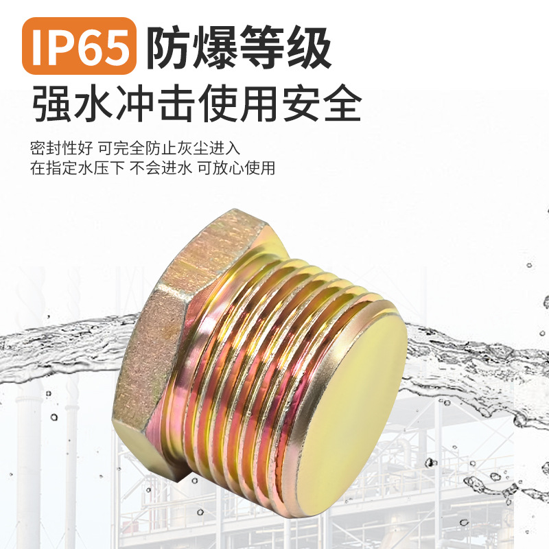 Explosion-Proof Box Junction Box Plug Dn20 Carbon Steel Outer Hexagonal Seal Solid Outer Wire Bulk Cover Wire Plug Bulkhead 6 Points 4 Points