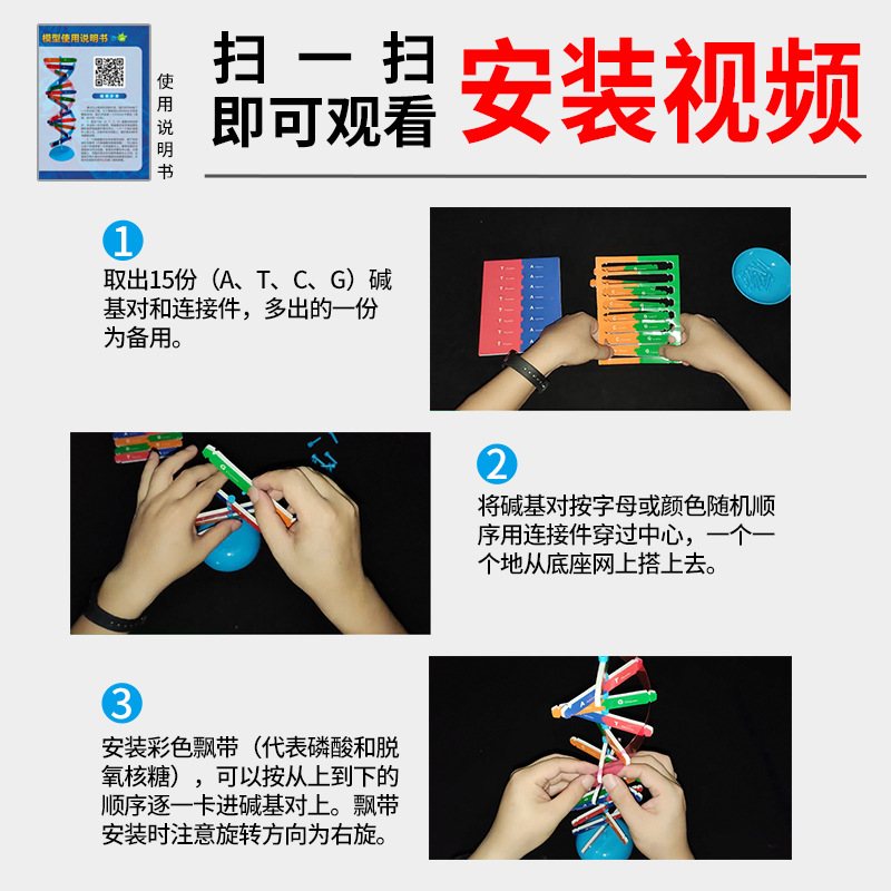 DNA double helix structure model Primary and secondary school science and technology small production Popular Science diy biological gene science experimental equipment