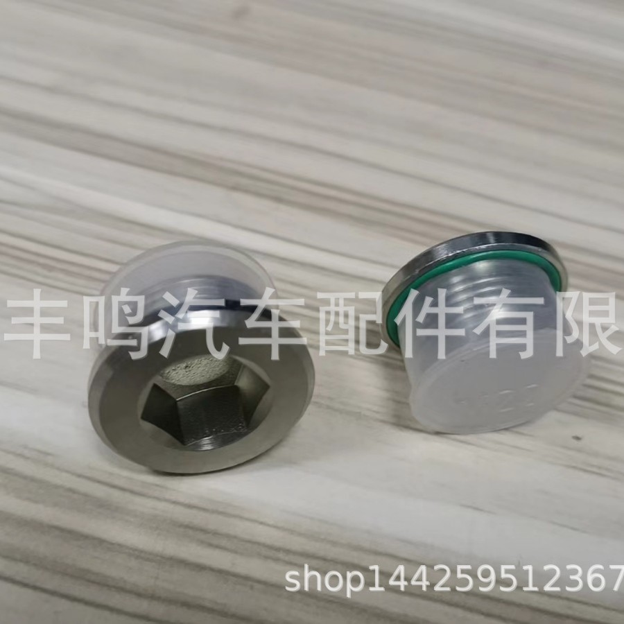 Magnetic Differential Oil Drain Plug with O-Ring No. Oe 33117525064 Suitable for Bmw