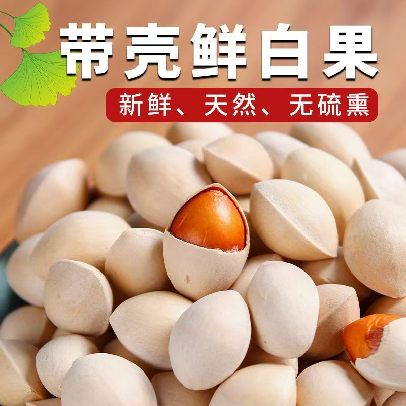 Fresh Seasonal Ginkgo Nuts from Taixing, China, Wholesale Pack of 1.0-2.5kg Large Ginkgo Nuts in 2025