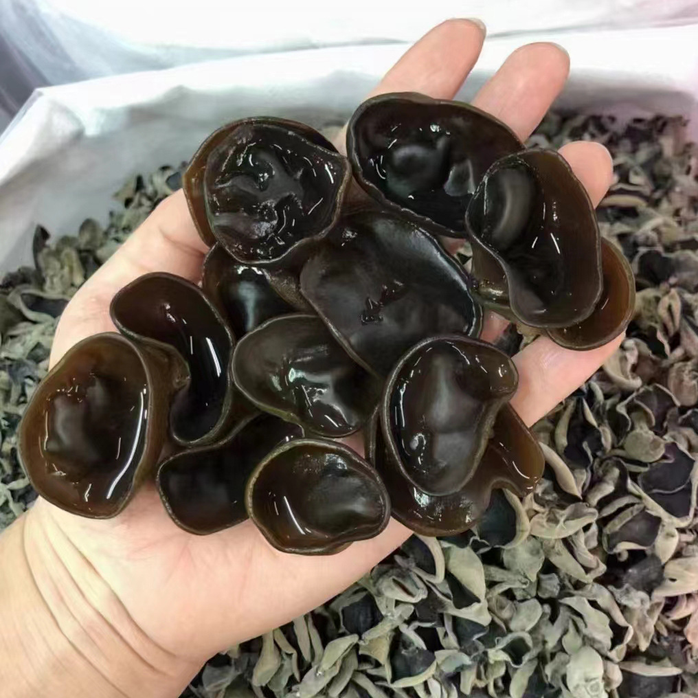 Authentic Northeastern Changbai Mountain Black Fungus Dried Goods, Premium Agricultural Products, Bulk Wholesale, First Harvest Autumn Black Fungus from Farmers 5kg