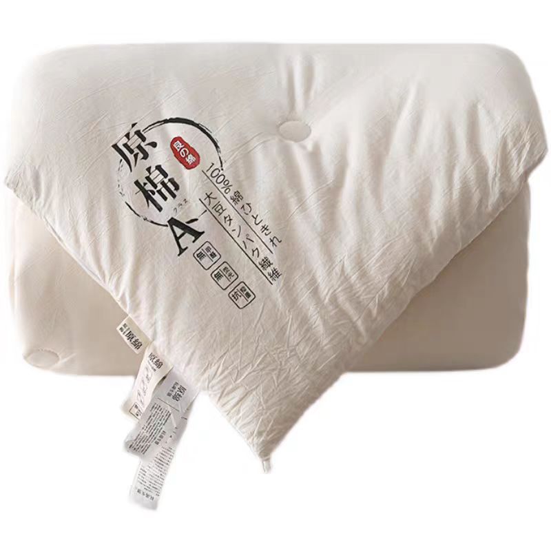 Raw Cotton Soybean Quilt Gift Set Boxed Spring and Autumn Quilt Thickened Winter Quilt Cotton Quilt Core Promotional Event Wholesale Manufacturer