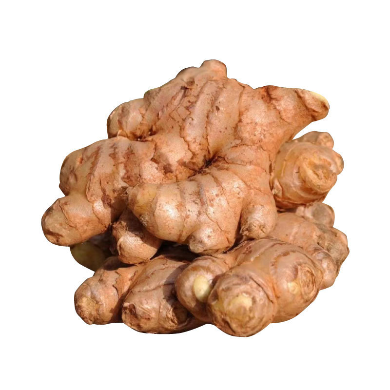 Yunnan Fresh Turmeric Wholesale Ginger Old Ginger New Ginger Fresh Block Ginger