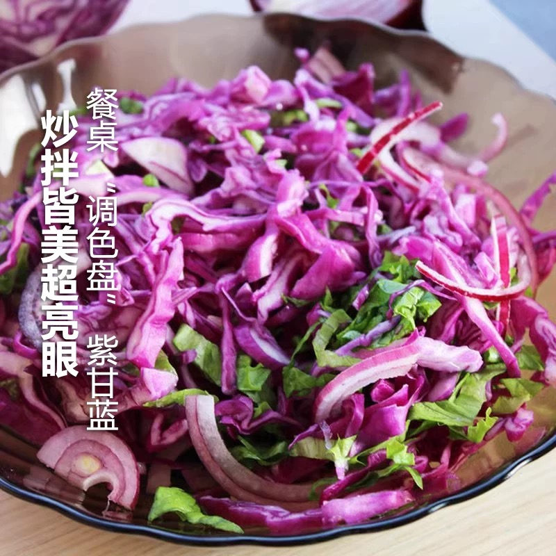 Fresh Purple Cabbage, Purple Cabbage Rich in Anthocyanins, Cold Salad, Nutritious Seasonal Purple Cabbage Wholesale