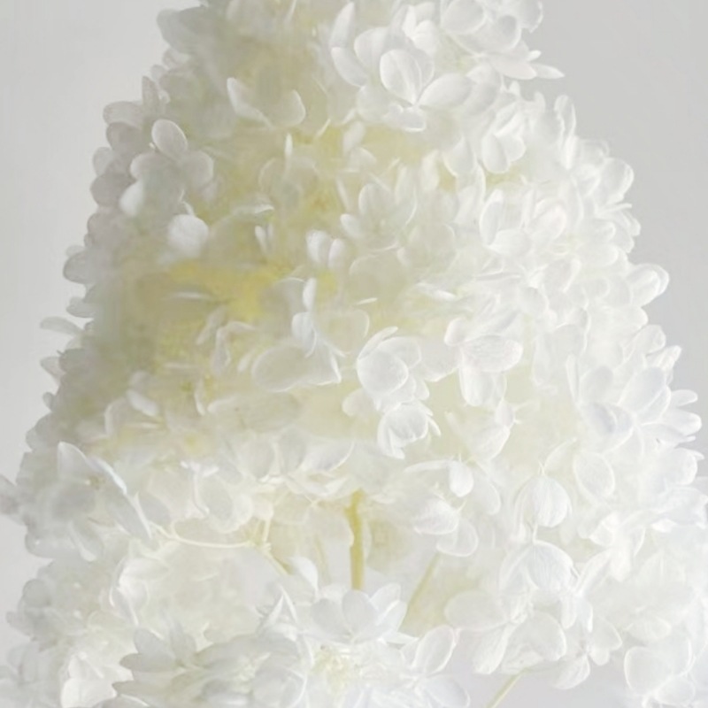 Вечная цветочная голова гортензии класса A, ручная работа, материал для DIY, наполнитель для подарочной коробки на День святого Валентина, стеклянный чехол, головной убор