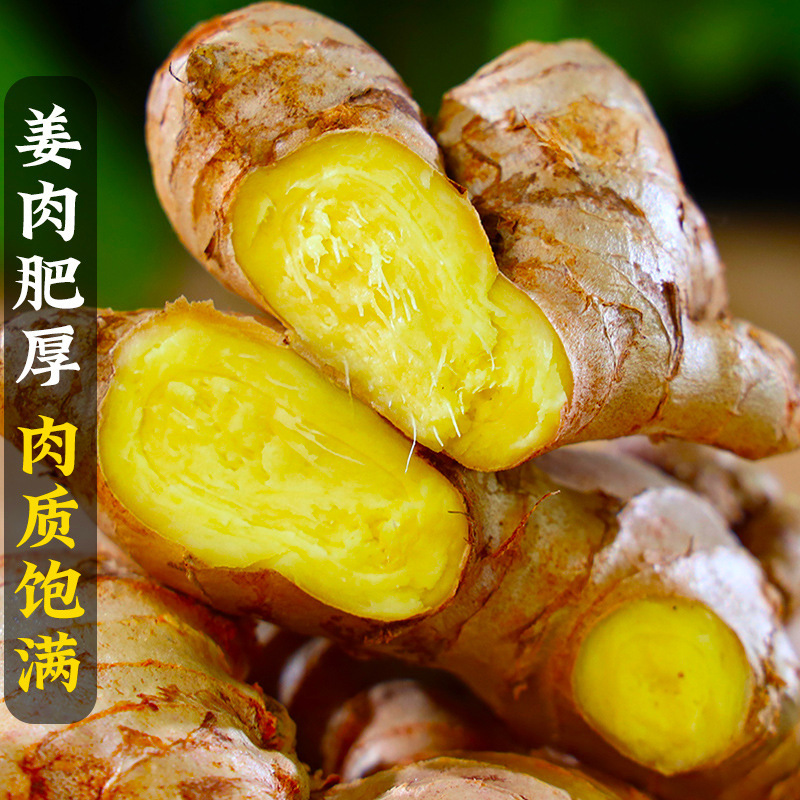 Yunnan New Small Turmeric, Old Ginger, Fresh Turmeric, Soil Ginger, Freshly Dug Ginger, Young Ginger, Fresh Ginger, Young Ginger 5kg Free Shipping