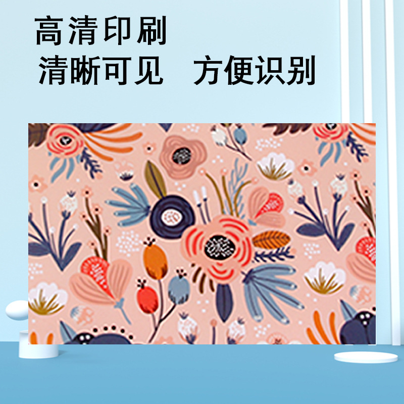 Folder A4 Single and Double Flap Pocket Pants Pp Plastic Folder Paper Folder Report Folder Contract Folder