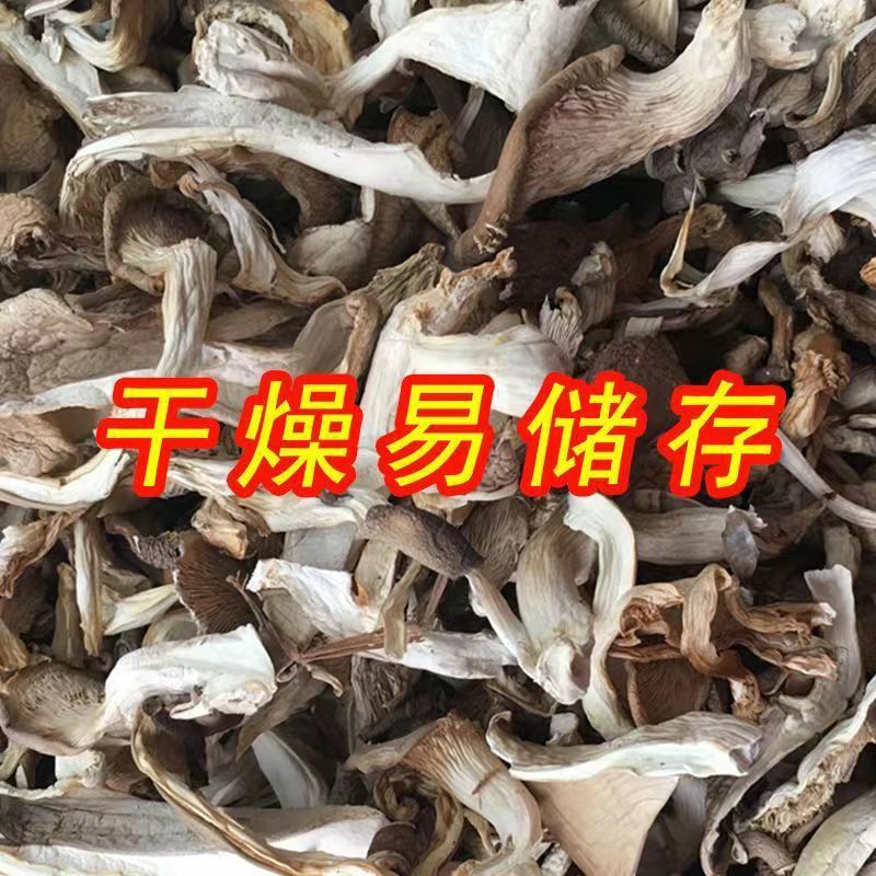 Wholesale of Shredded White Mushrooms, Clean and Bacteria-Free, Wholesale of Oyster Mushrooms, White Mushrooms in Bulk, Dried Mushroom Slices with Free Shipping