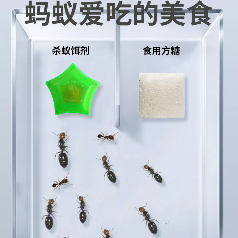 Japanese Medicine for Exorcism and Extermination of Ants Ant-killing Bait for Household Indoor and Outdoor Kitchen Non-toxic Termites Red Ants