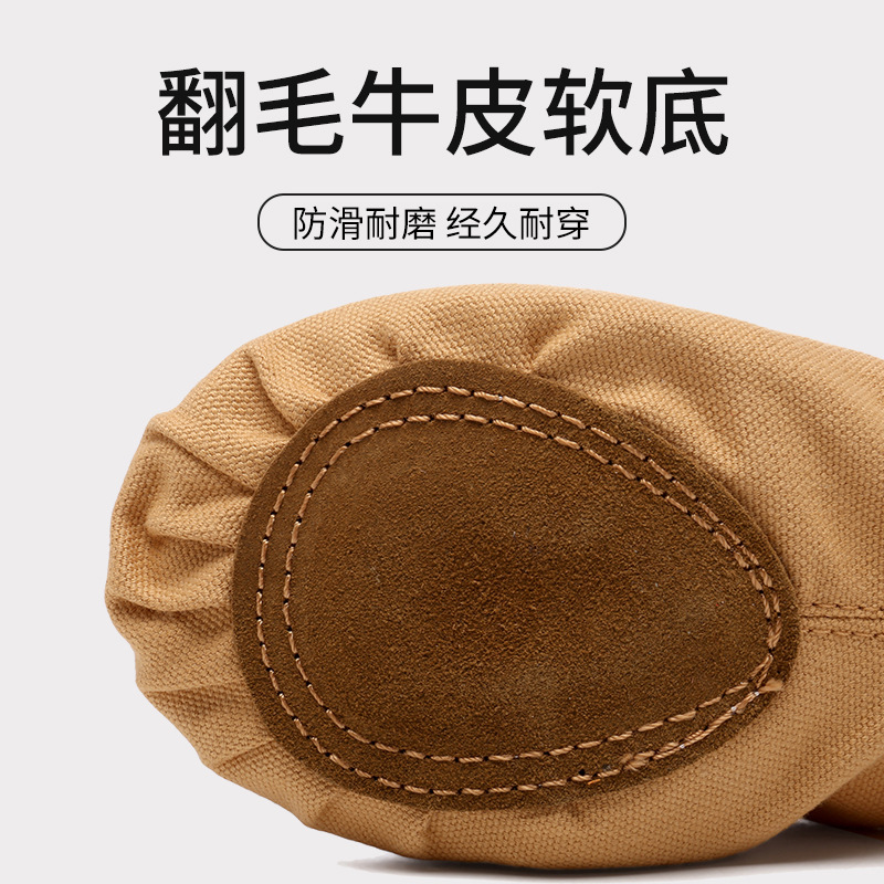 Dance Shoes Lace-up-free Women's Soft Sole Classical Children's Ballet Dancing Shoes for Girls Practice Adult Cat Claw Shoes