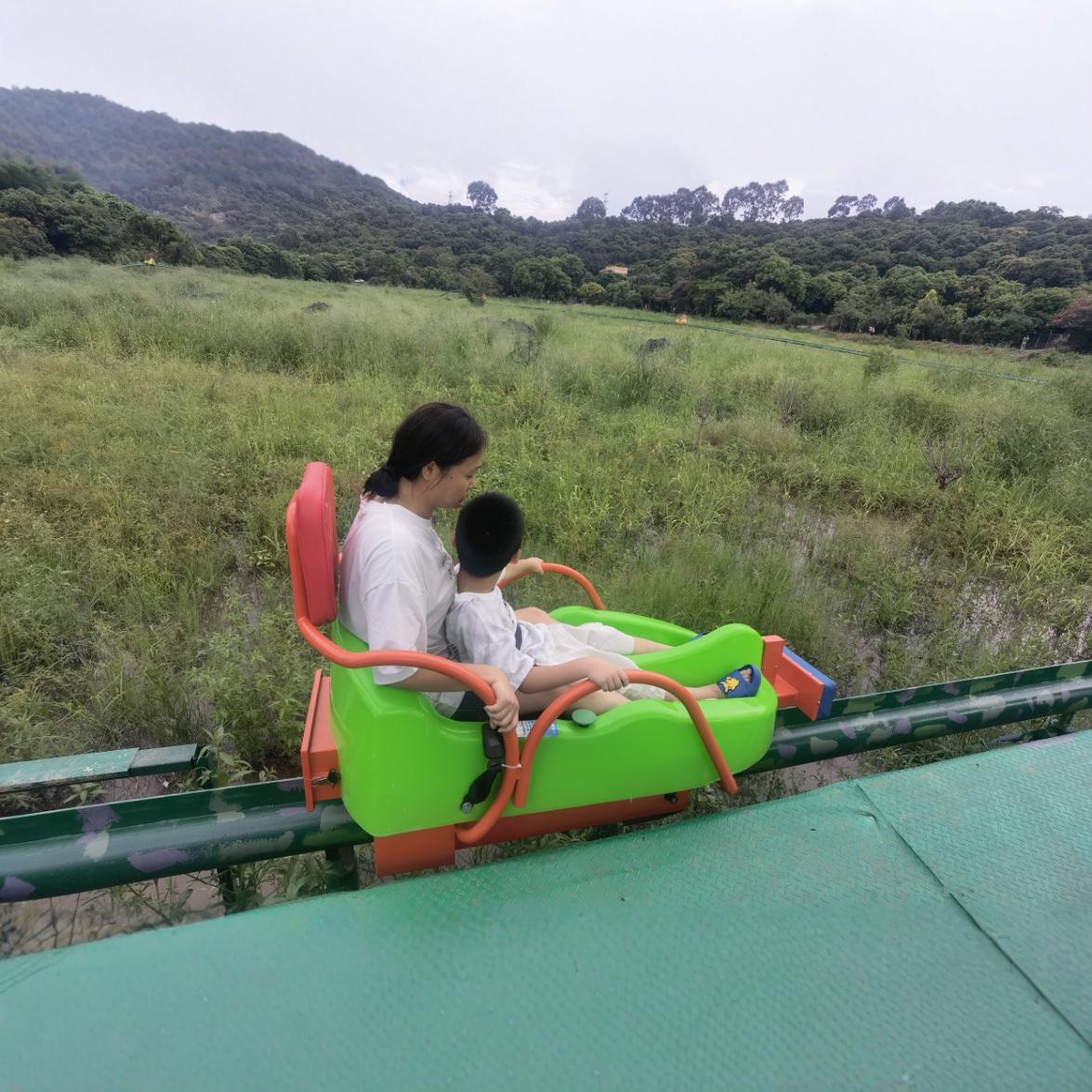 Unpowered Pulley, Monorail Pulley, Track Pulley, Small Roller Coaster