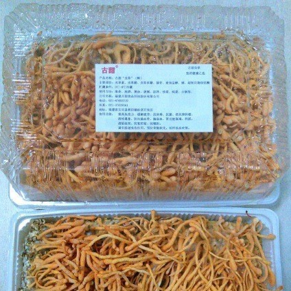 Ancient Sweet Fresh Cordyceps 38 Yuan/Box Cordyceps Sinensis Flower Direct from Manufacturer