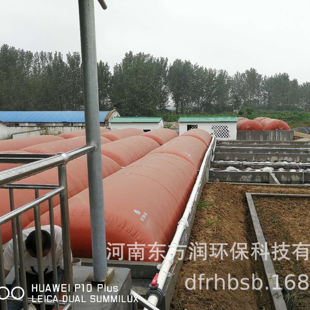 Biogas Engineering/Equipment