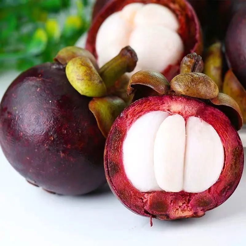 Sf Thailand Mangosteen Fresh Fruit - Wholesale Price Per Box of Tropical Seasonal Fruit - Factory Wholesale and Delivery