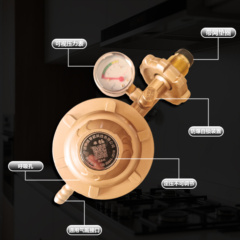 New National Standard Household Explosion-Proof Gas Pressure Reducing Valve Automatic Automatic Closing Safety Valve Pressure Regulating Liquefied Gas Self-Closing Valve