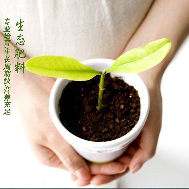 Coconut cake planting soil coconut brick cake potted compressed soil nutrient block fertilizer nutrient soil flower nutrient soil