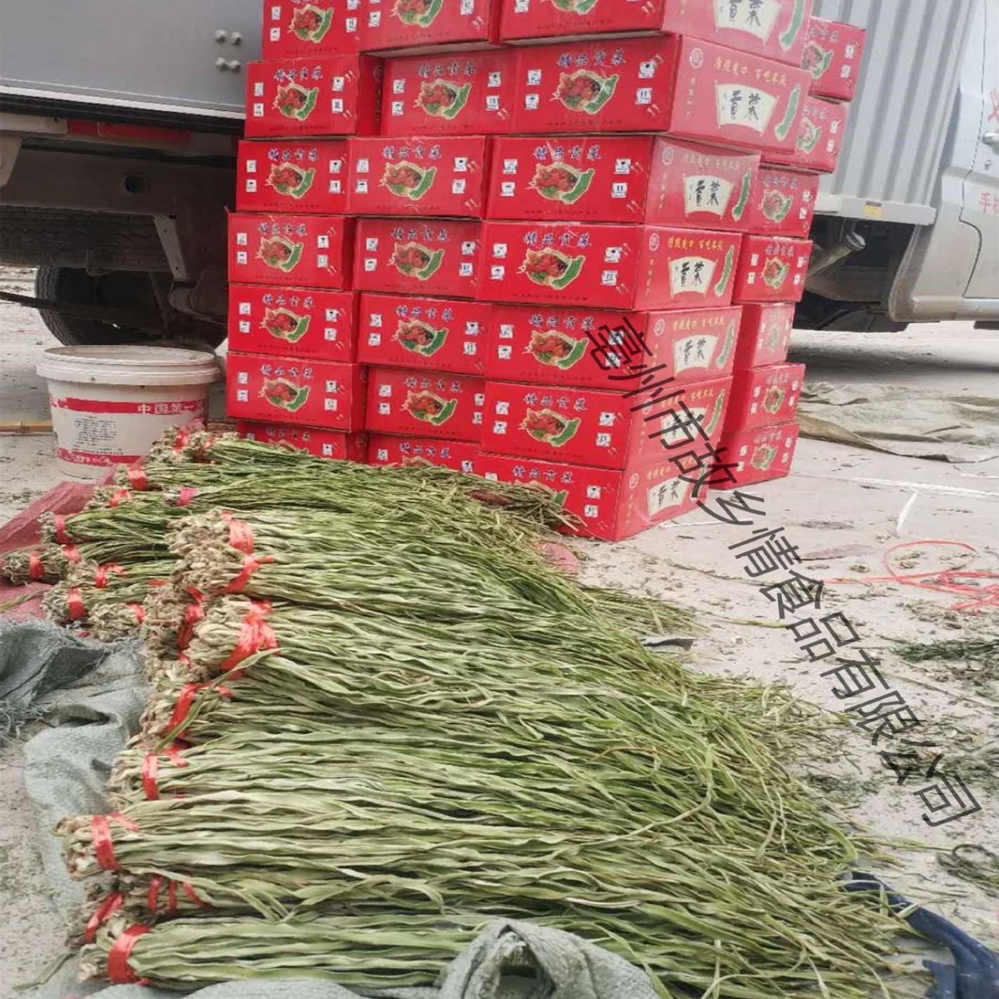 Shabu hotpot origin straight hair leafless tribute vegetables bulk Yunnan tribute vegetables dried moss vegetables dried tribute vegetables dried goods wholesale hotpot shop