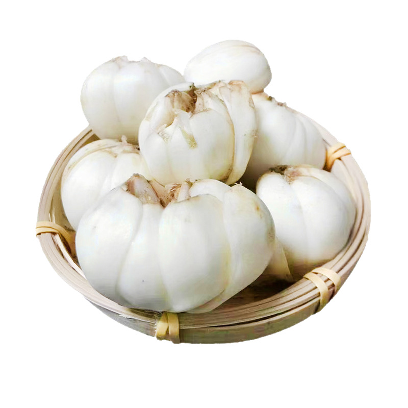 Lanzhou Fresh Edible Lily Bulbs, Sweet Fruit Lilies 500g, Lily Medicinal Herbs, Direct Delivery from the Place of Origin