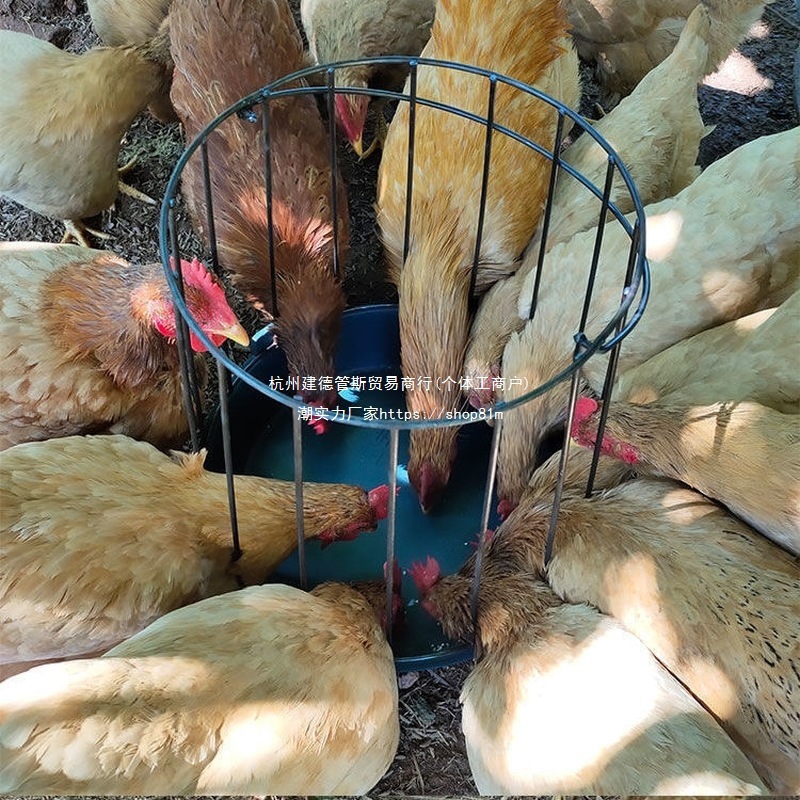 Новый тип кормушки для птицы, куриная ферма, кормление кур и уток