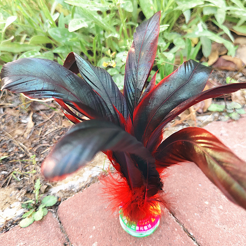 Chicken feather shuttlecock feather color goose feather shuttlecock ball for children fitness competition big flower shuttlecock student shuttlecock wholesale