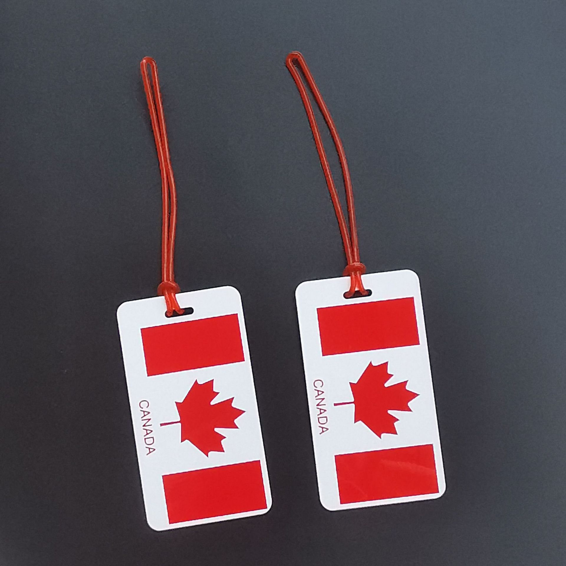 Популярный износостойкий пластиковый ярлык для багажа, ПВХ-держатель карточек, можно вставить визитки