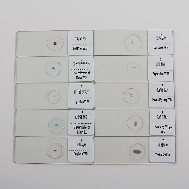 In stock sales experimental supplies microslice 10-piece biological slice suit primary and secondary school microslice