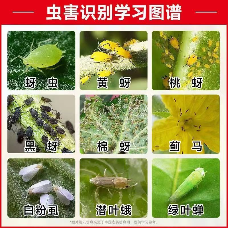 Wholesale of High-Efficiency Cyhalothrin Vegetable Caterpillars, Fruit Trees, Field Cabbage Moth Pesticides, Crop Insecticides