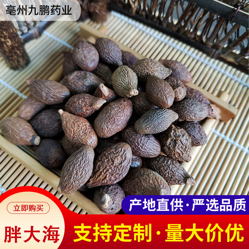 Аутентичная дикая Пангдахаи, китайская трава, гарантированно упакована оптом, специальная категория Пангдахаи и монашеского фрукта для чая и питья