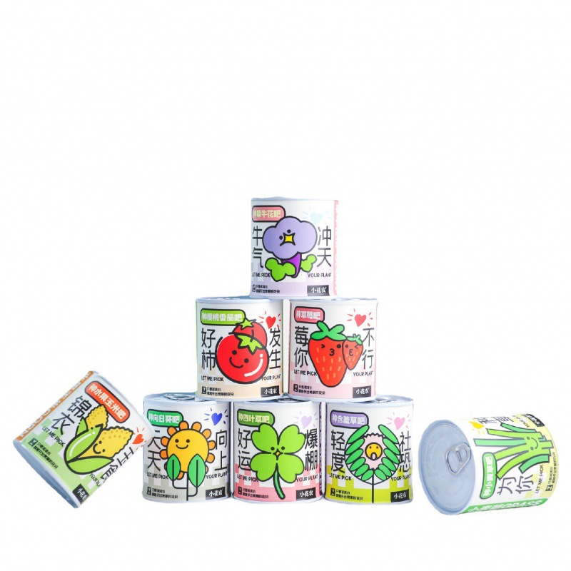 Can Desktop Small Potted Plant Blind Box Kidsren's Green Plant Seeds Primary School Students Award Variety Plant Planting Box