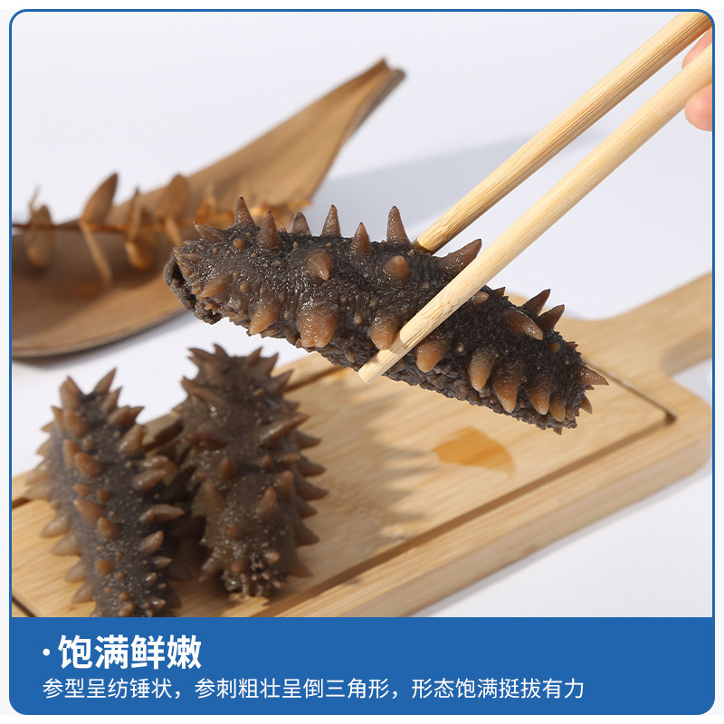 Sea Cucumber Factory in Dalian, Ready-To-Eat Wholesale, Liaoning Sea Cucumber, Not Dried Goods, Manufacturer, Seafood, One-Piece Dropshipping, Ag Cold Chain Direct Delivery