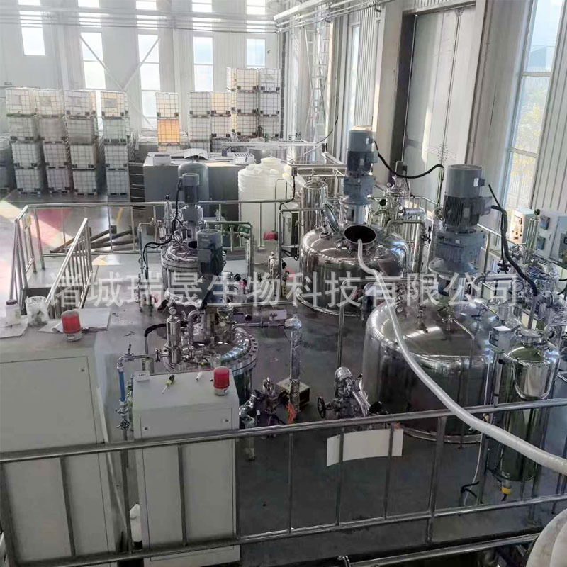 Fully Automatic Biological Fermentation System Stainless Steel Fermentation Tank Equipment Ruisheng Machinery Bacillus Licheniformis Fermentation