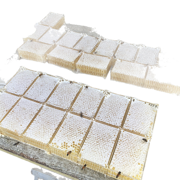 Jingtiao honeycomb honey half jin pack 300g a box of bee farm peak honeycomb honey wholesale one-piece delivery