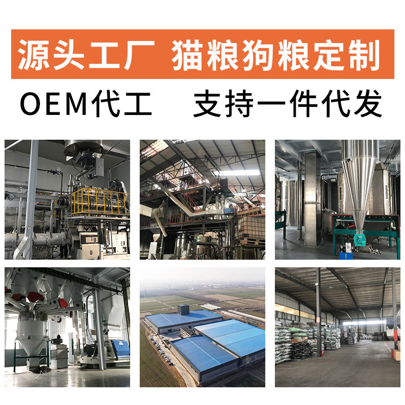 Puppy dog food a generation of dog food manufacturers wholesale dog food Teddy golden retriever pet food than bear Labrador