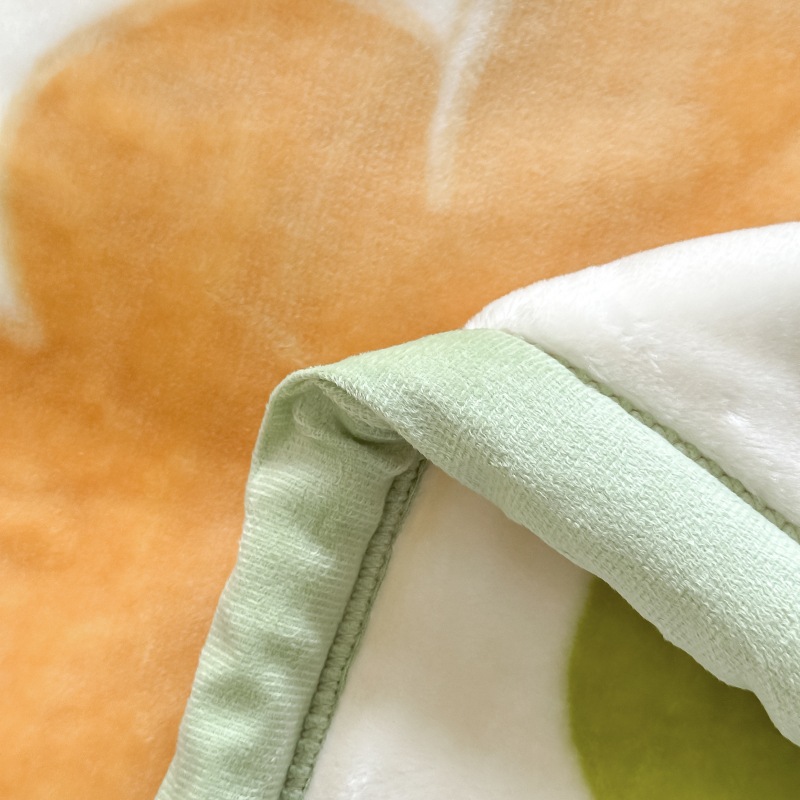 2025 Double-Layer Thickened Raschel Blanket Single Double E-Commerce Cross-Border Gift Export Factory Direct